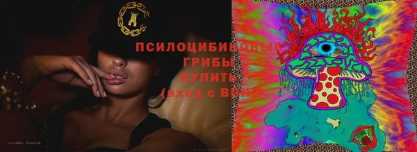 сатива Вязники