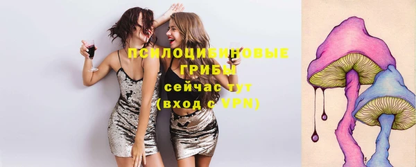сатива Вязники