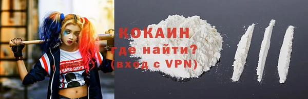 твердый Горнозаводск