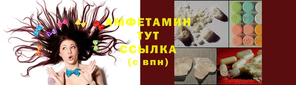 сатива Вязники