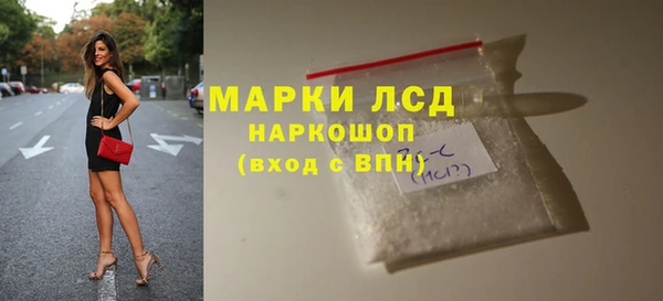 spice Горняк