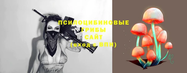 сатива Вязники