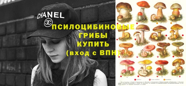 эйфоретик Вяземский