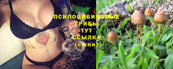 прущая мука Вязьма