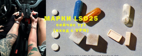 эйфоретик Вяземский